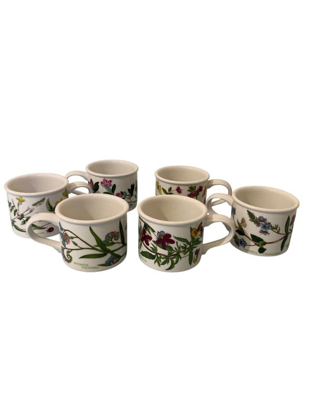 Portmeirion Botanic Garden Coffee Tea Cup Short 2.5" Lot of 6